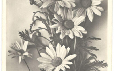 Josef Heurtens, due cartoline dell’8 ottobre 1944