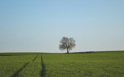 L’invisibilità del paesaggio